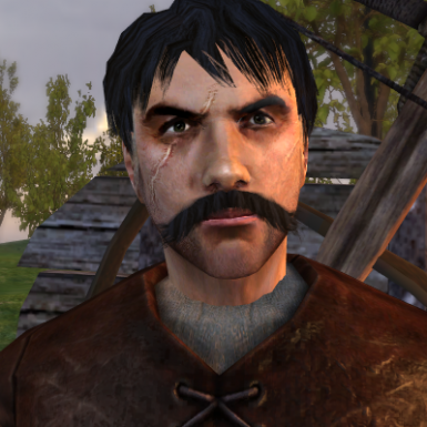 mount and blade warband hair mod